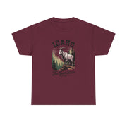 Idaho Gem State Tee, Unisex Heavy Cotton Shirt, Vintage Idaho Style T-Shirt, Nature Lover Apparel, Gift for Idaho Residents, USA States Design
