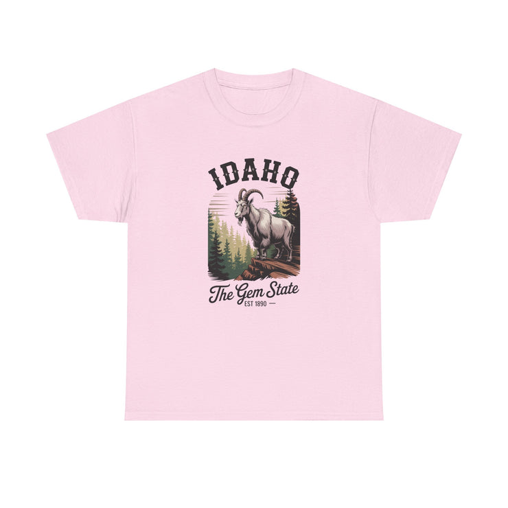 Idaho Gem State Tee, Unisex Heavy Cotton Shirt, Vintage Idaho Style T-Shirt, Nature Lover Apparel, Gift for Idaho Residents, USA States Design