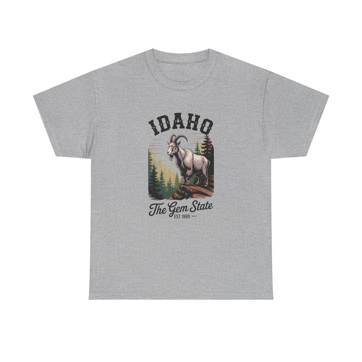 Idaho Gem State Tee, Unisex Heavy Cotton Shirt, Vintage Idaho Style T-Shirt, Nature Lover Apparel, Gift for Idaho Residents, USA States Design