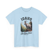 Idaho Gem State Tee, Unisex Heavy Cotton Shirt, Vintage Idaho Style T-Shirt, Nature Lover Apparel, Gift for Idaho Residents, USA States Design