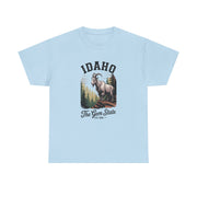 Idaho Gem State Tee, Unisex Heavy Cotton Shirt, Vintage Idaho Style T-Shirt, Nature Lover Apparel, Gift for Idaho Residents, USA States Design
