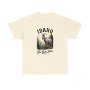 Idaho Gem State Tee, Unisex Heavy Cotton Shirt, Vintage Idaho Style T-Shirt, Nature Lover Apparel, Gift for Idaho Residents, USA States Design