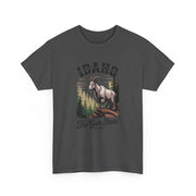Idaho Gem State Tee, Unisex Heavy Cotton Shirt, Vintage Idaho Style T-Shirt, Nature Lover Apparel, Gift for Idaho Residents, USA States Design