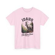 Idaho Gem State Tee, Unisex Heavy Cotton Shirt, Vintage Idaho Style T-Shirt, Nature Lover Apparel, Gift for Idaho Residents, USA States Design