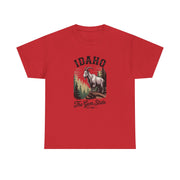 Idaho Gem State Tee, Unisex Heavy Cotton Shirt, Vintage Idaho Style T-Shirt, Nature Lover Apparel, Gift for Idaho Residents, USA States Design