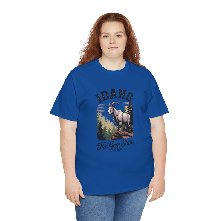 Idaho Gem State Tee, Unisex Heavy Cotton Shirt, Vintage Idaho Style T-Shirt, Nature Lover Apparel, Gift for Idaho Residents, USA States Design