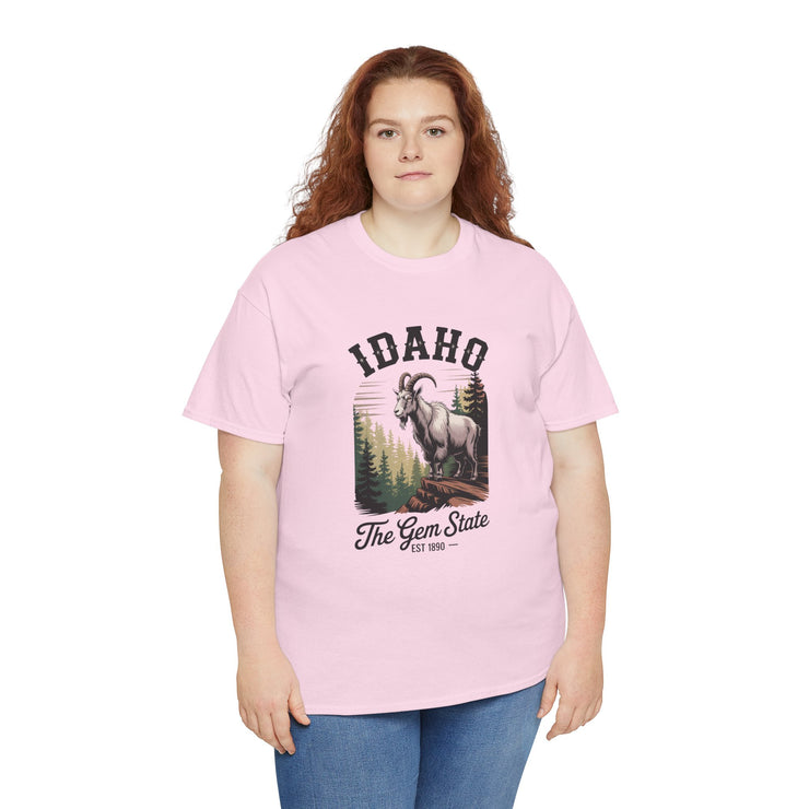 Idaho Gem State Tee, Unisex Heavy Cotton Shirt, Vintage Idaho Style T-Shirt, Nature Lover Apparel, Gift for Idaho Residents, USA States Design