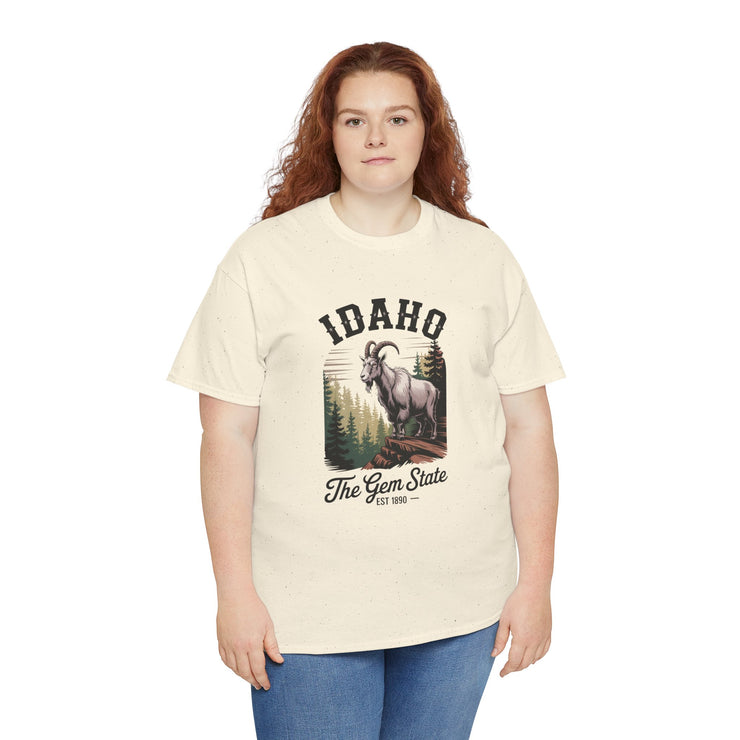 Idaho Gem State Tee, Unisex Heavy Cotton Shirt, Vintage Idaho Style T-Shirt, Nature Lover Apparel, Gift for Idaho Residents, USA States Design