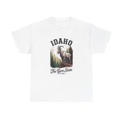Idaho Gem State Tee, Unisex Heavy Cotton Shirt, Vintage Idaho Style T-Shirt, Nature Lover Apparel, Gift for Idaho Residents, USA States Design